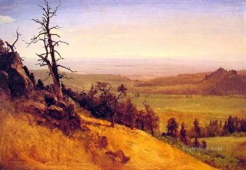 Newbraska Wasatch Mountains Albert Bierstadt Oil Paintings